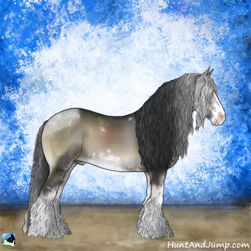 Horse Color:Blue Onyx Sabino 