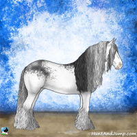 Horse Color:White Spotted Black Sabino Splash Rabicano 