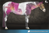 Horse Color:Buckskin Ice Tobiano Rabicano