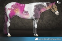 Horse Color:Buckskin Ice Tobiano Rabicano 