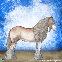 Horse Color:Gold Champagne Onyx Mushroom Sabino Rabicano 