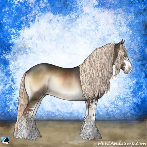 Horse Color:Liver Red Onyx Mushroom Sabino Rabicano 