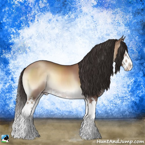 Horse Color:Classic Champagne Onyx Sabino Splash 