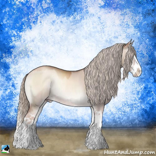 Horse Color:Gold Champagne Onyx Mushroom Sabino Splash Rabicano 
