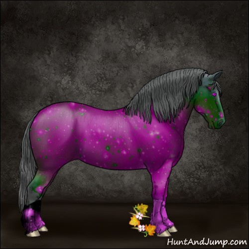 Horse Color:ERROR: UNKNOWN ANOMALY