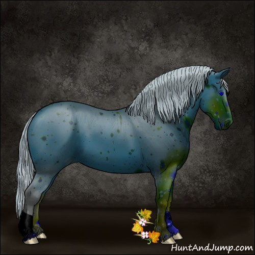 Horse Color:ERROR: UNKNOWN ANOMALY