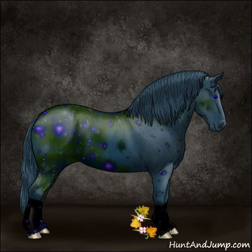 Horse Color:ERROR: UNKNOWN ANOMALY