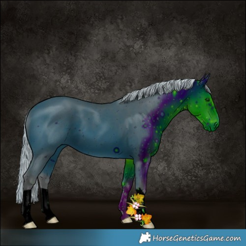 Horse Color:ERROR: UNKNOWN ANOMALY