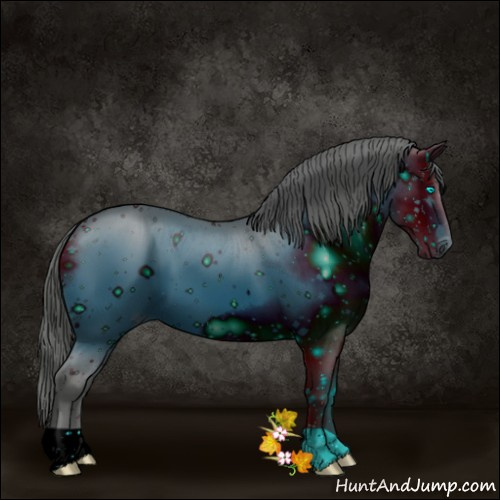 Horse Color:ERROR: UNKNOWN ANOMALY