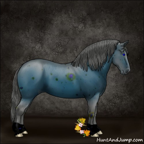 Horse Color:ERROR: UNKNOWN ANOMALY