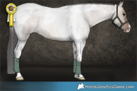 Horse Color:Brown Roan Dun Tobiano Brindle 