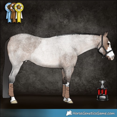 Horse Color:Brown Roan Dun Brindle 