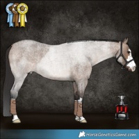 Horse Color:Brown Roan Dun Brindle 