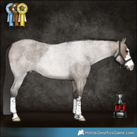 Horse Color:Brown Roan Dun Brindle 