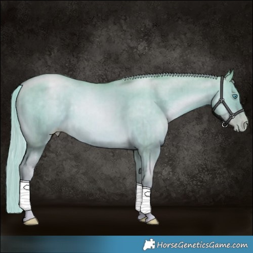Horse Color:Watercolor Chocolate Palomino Pearl Dun Brindle 
