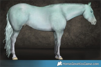 Horse Color:Watercolor Chocolate Palomino Snowdrop Dun Brindle 