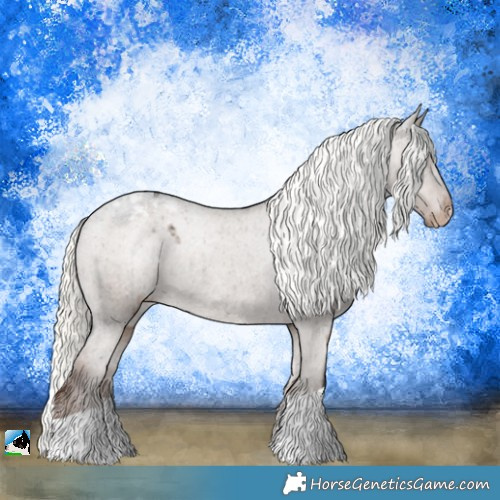 Horse Color:Liver Red Dun Mushroom Appaloosa Rabicano Brindle