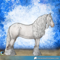 Horse Color:Liver Red Dun Mushroom Appaloosa Rabicano Brindle 