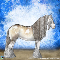 Horse Color:Liver Red Dun Onyx Mushroom Sabino 