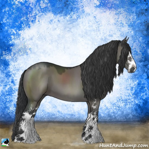 Horse Color:Grullo Mushroom Sabino 
