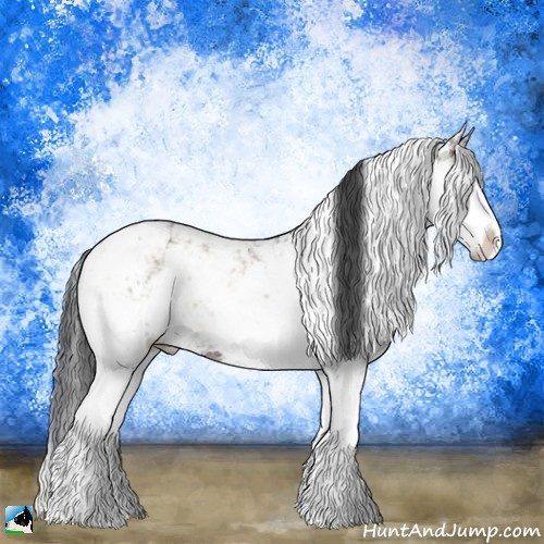 Horse Color:Grullo Onyx Mushroom Sabino Rabicano Brindle 