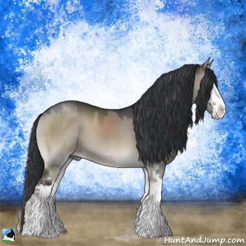 Horse Color:Grullo Onyx Mushroom Sabino 