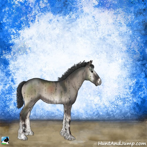 Horse Color:Grullo Onyx Mushroom Sabino Rabicano Brindle 