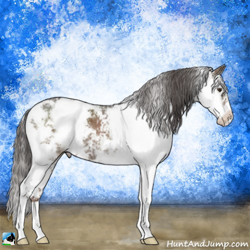 Horse Color:Liver Red Dun Sabino Brindle 