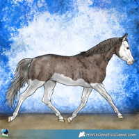 Horse Color:Liver Red Dun Mushroom Splash Rabicano Brindle 