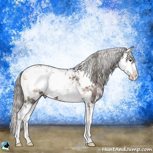 Horse Color:Liver Red Onyx Ice Mushroom Sabino 