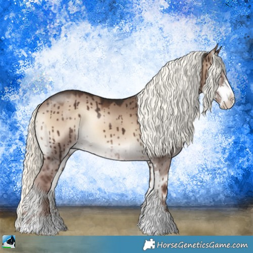 Horse Color:Liver Red Dun Onyx Mushroom Sabino Rabicano Brindle 