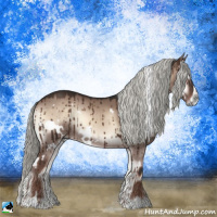 Horse Color:White Spotted Liver Red Dun Onyx Mushroom Sabino Rabicano Brindle 