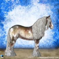 Horse Color:White Spotted Liver Red Onyx Mushroom Sabino Rabicano 