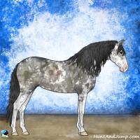 Horse Color:Grullo Ice Mushroom Sabino Rabicano