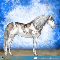 Horse Color:White Spotted Liver Red Dun Mushroom Sabino Splash Brindle 
