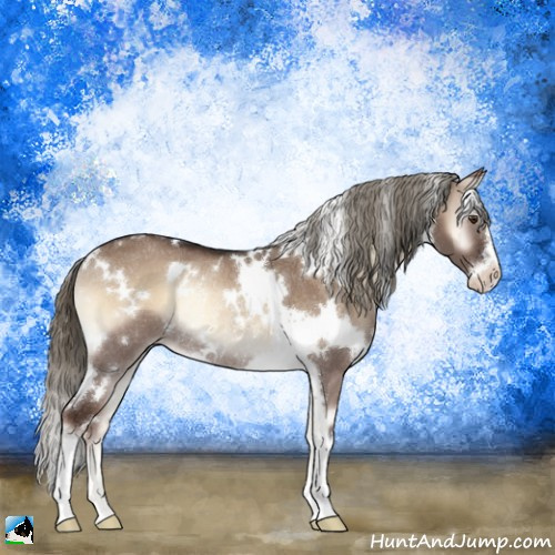 Horse Color:White Spotted Liver Red Dun Onyx Mushroom Sabino Rabicano 
