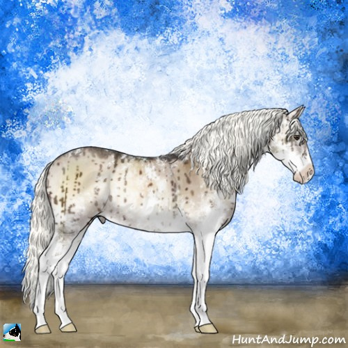 Horse Color:Liver Red Dun Onyx Mushroom Sabino Rabicano Brindle 