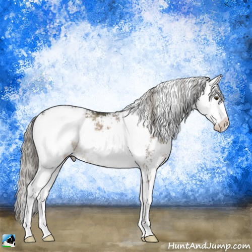 Horse Color:Liver Red Dun Mushroom Sabino Rabicano 