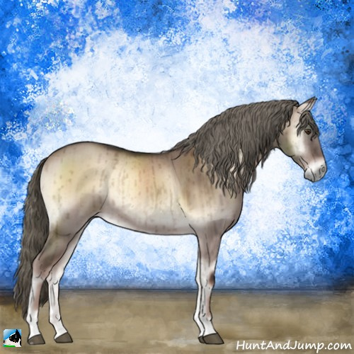 Horse Color:Liver Red Dun Onyx Mushroom Brindle 