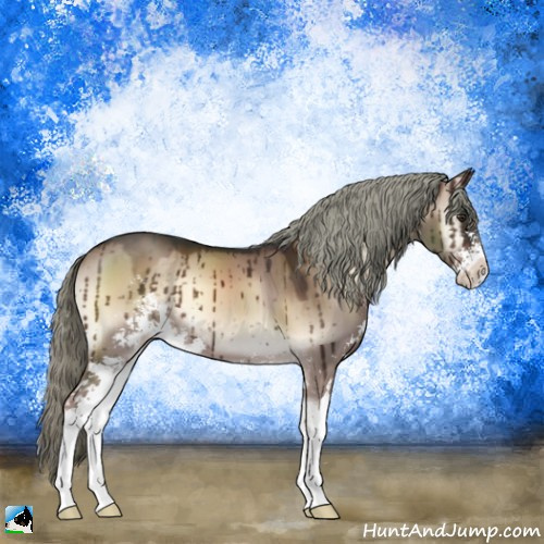 Horse Color:Liver Red Dun Onyx Mushroom Sabino Brindle