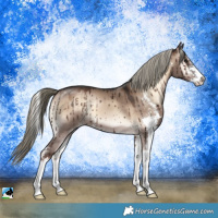 Horse Color:Liver Red Dun Onyx Mushroom Sabino Brindle 