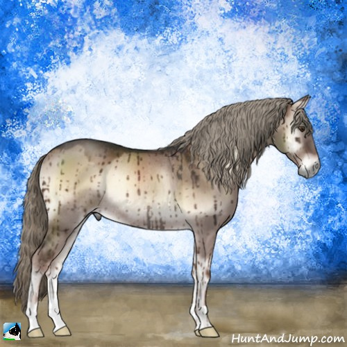 Horse Color:Liver Red Dun Onyx Mushroom Rabicano Brindle 