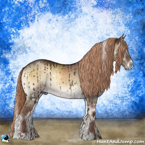 Horse Color:White Spotted Liver Red Dun Onyx Rabicano Brindle 