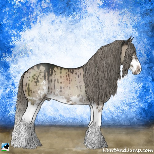 Horse Color:Liver Red Dun Mushroom Sabino Splash Rabicano Brindle 