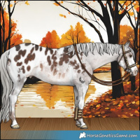 Horse Color:Liver Chestnut Mushroom Sabino Appaloosa Rabicano