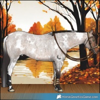 Horse Color:White Spotted Bay Roan Dun Mushroom 