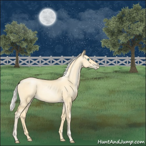 Horse Color:Silver Buckskin Pearl 
