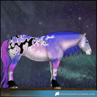 Horse Color:Watercolor Buckskin Onyx Appaloosa 