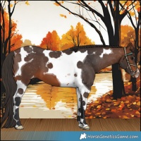Horse Color:Brown Tobiano Varnish 