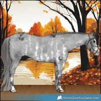 Horse Color:Black Sabino Varnish 